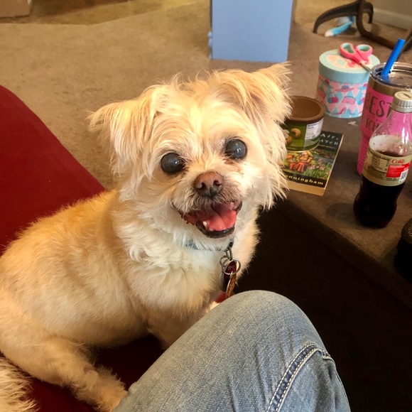 🌟❤️JEFFERSON❤️🌟 - Picture 11 of 13